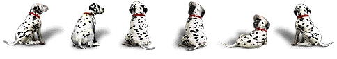 LNC Marketing, LCP Marketing, Nurse Marketing, Expert Witness Marketing